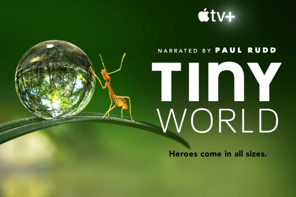tiny world apple tv plus serie documentario