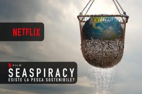 Seaspiracy: esiste la pesca sostenibile? Netflix propone preoccupazioni ecologiche ed etiche sui nostri mari