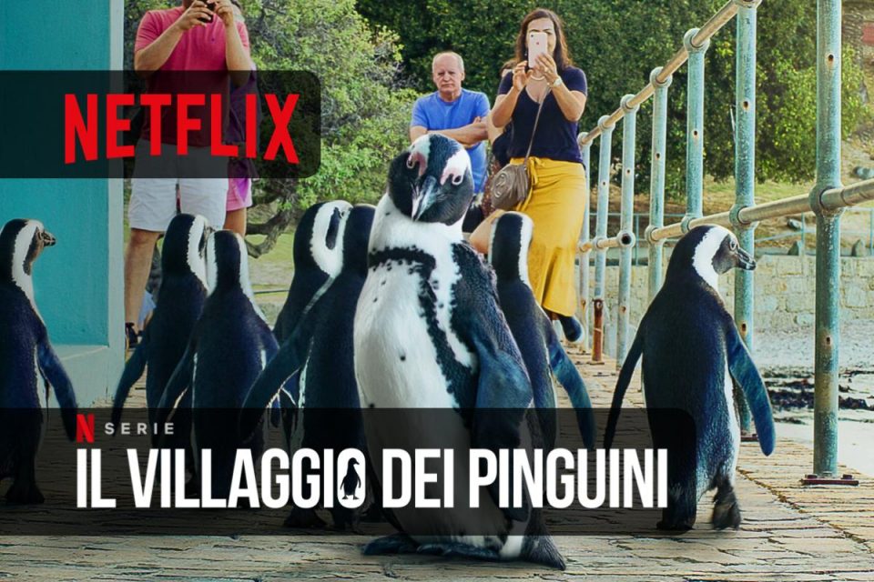 Il villaggio dei pinguini guarda la prima stagione su Netflix