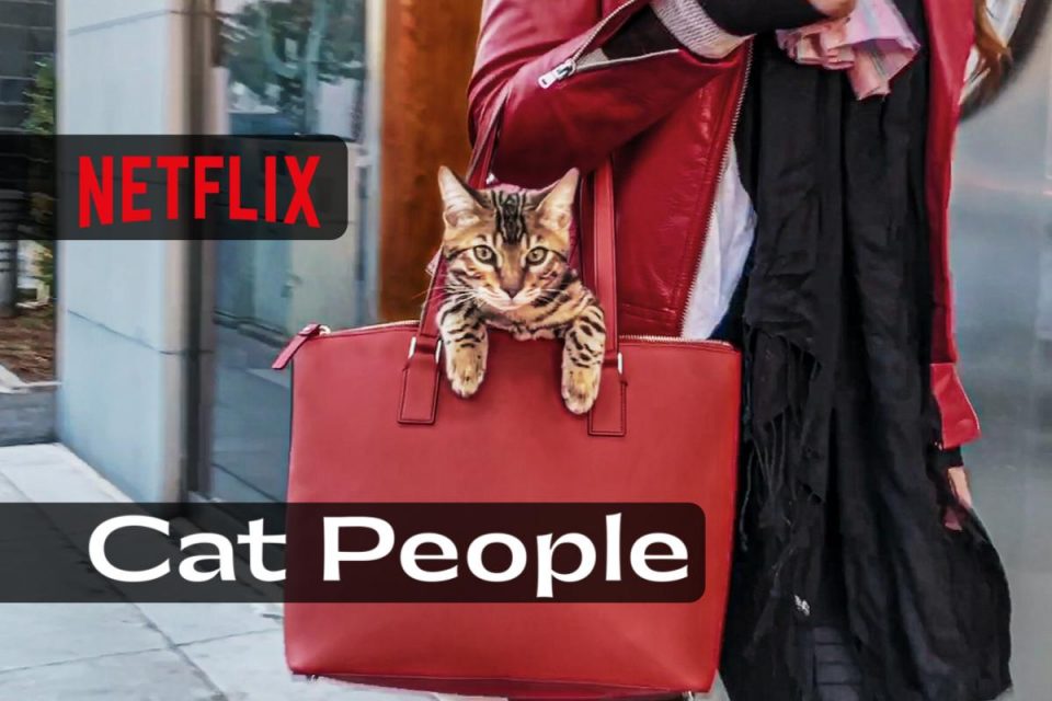 Cat People su Netflix arriva la prima stagione della serie per amanti dei gatti