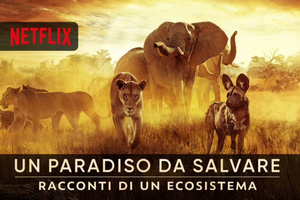 Un paradiso da salvare: racconti di un ecosistema - Film documentario da oggi su Netflix