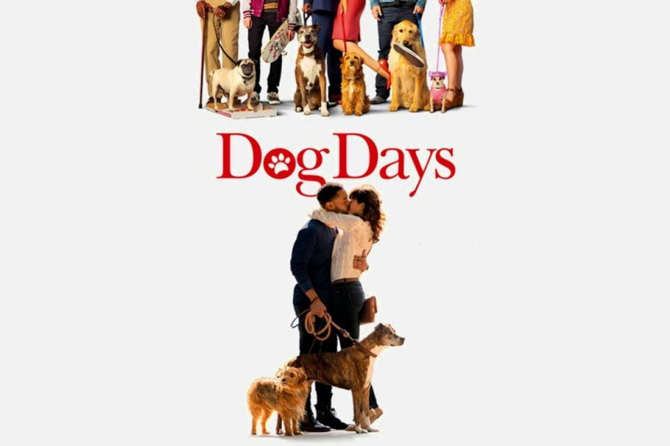 dog days film rai3