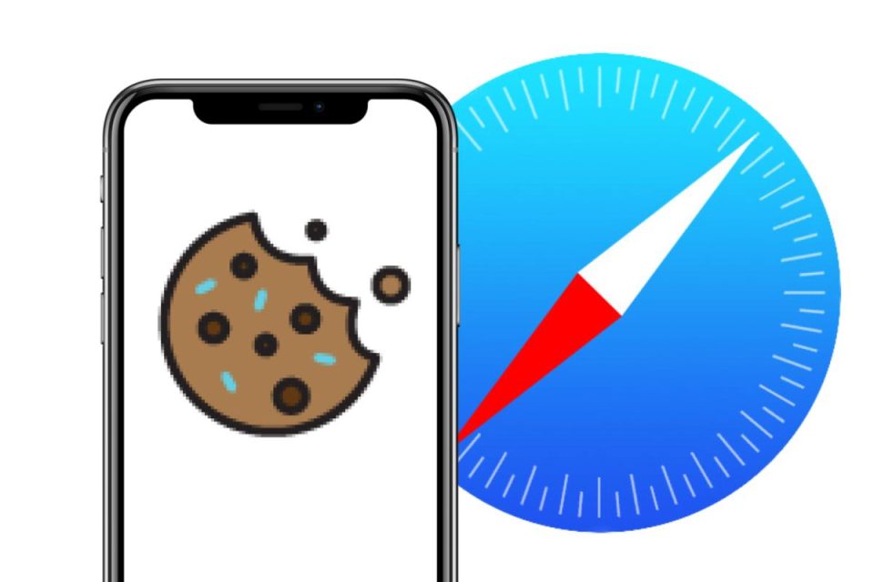 Come eliminare i cookie su iOS
