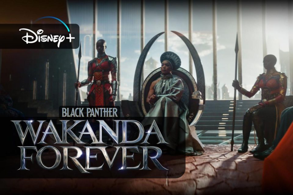 L'attesa è finita non perderti Black Panther: Wakanda Forever su Disney+
