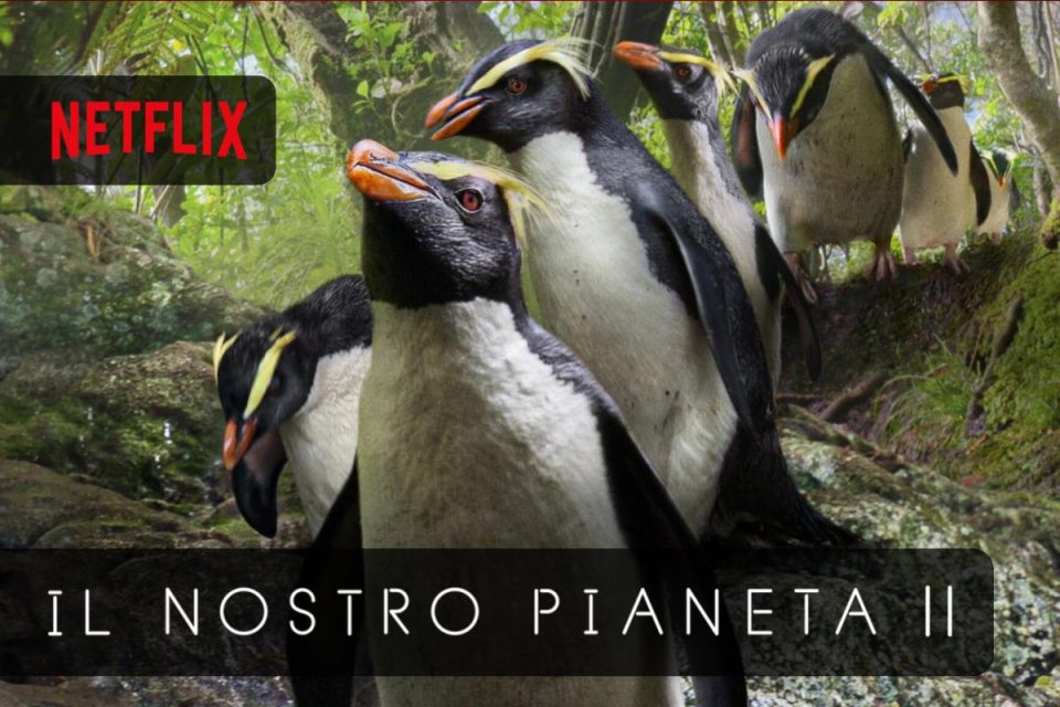 Il nostro pianeta II la seconda stagione è arrivata su Netflix