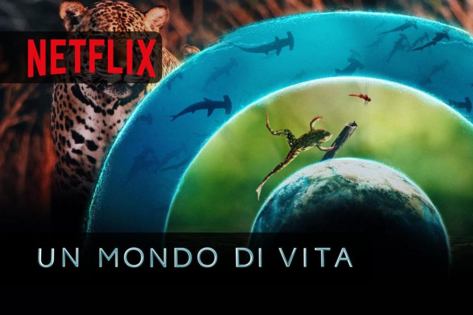 Un mondo di vita Netflix un approfondimento sull'interconnessione della vita sul nostro pianeta