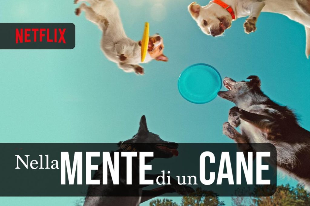 Nella mente di un cane un film documentario da vedere su Netflix